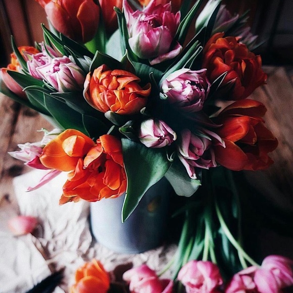 Meet your Posher, Cassandra - Picture 1 of 1